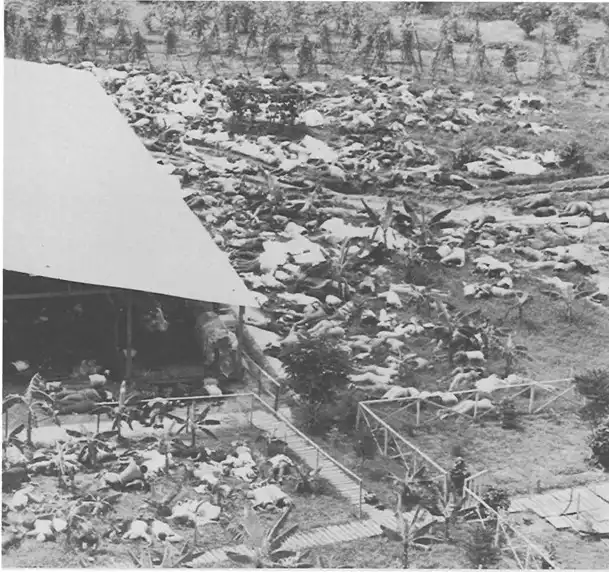 Histoire naturelle du suicide collectif