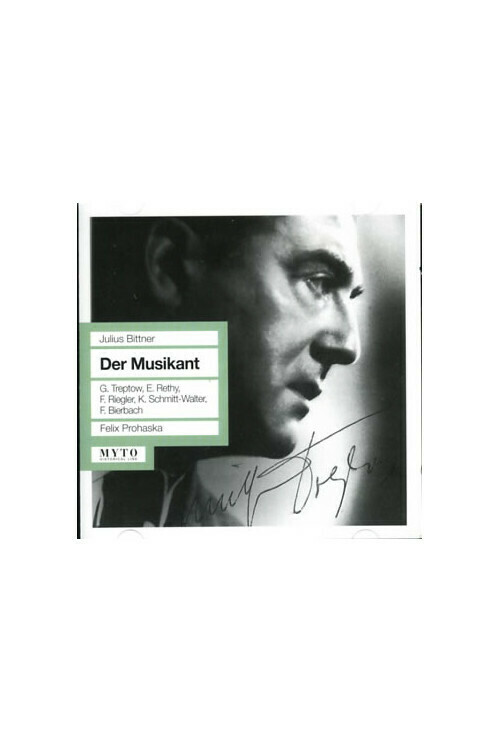 Der Musikant